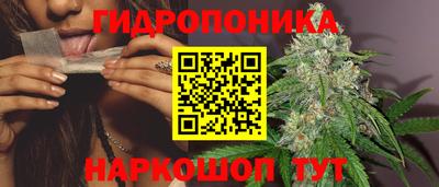 jwh Будённовск