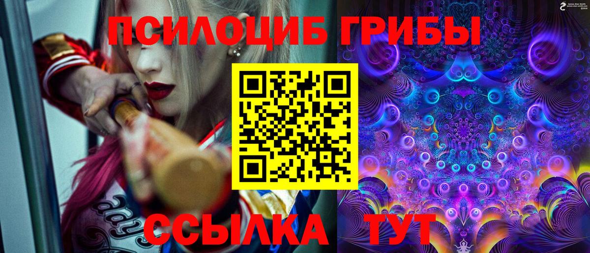 Галлюциногенные грибы мицелий Георгиевск