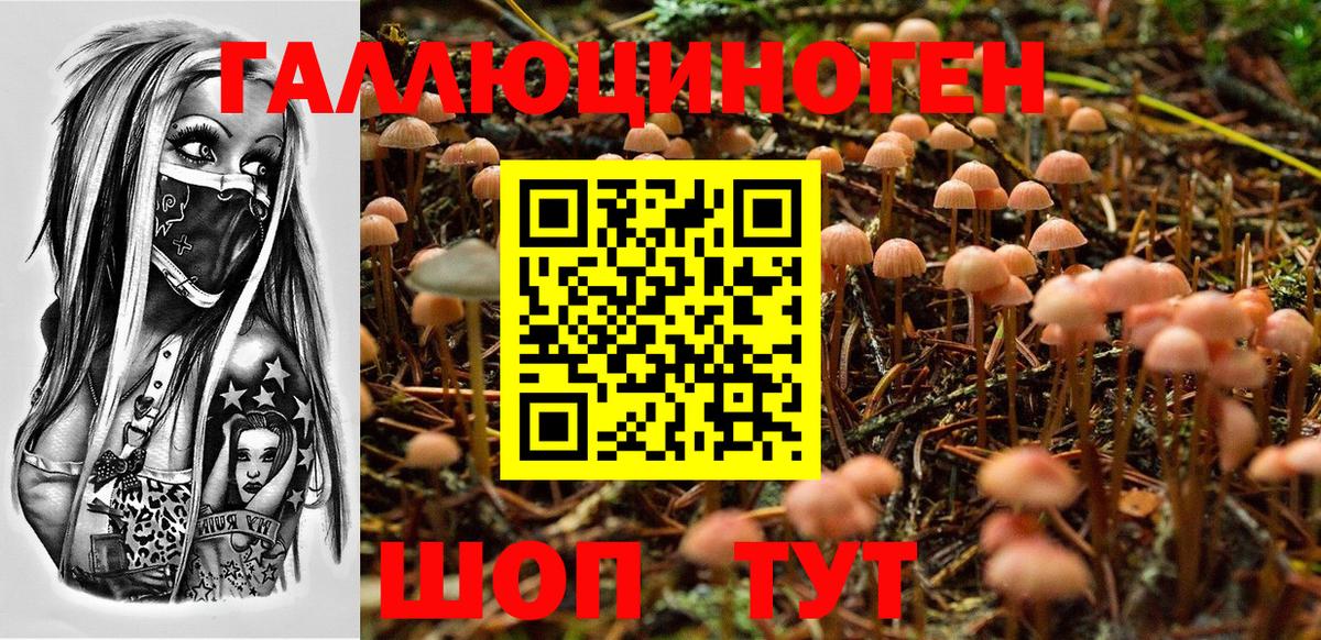 Псилоцибиновые грибы мицелий  Вход с VPN  Георгиевск 
